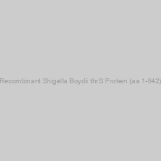Image of Recombinant Shigella Boydii thrS Protein (aa 1-642)